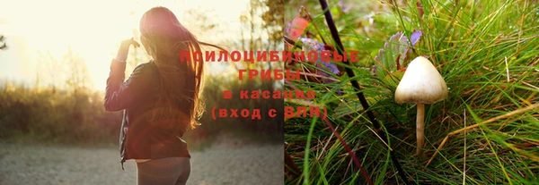 прущая мука Нефтекумск