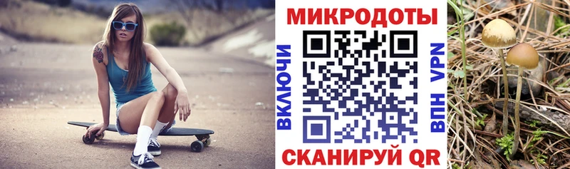 Галлюциногенные грибы прущие грибы  Купить где  Владивосток 